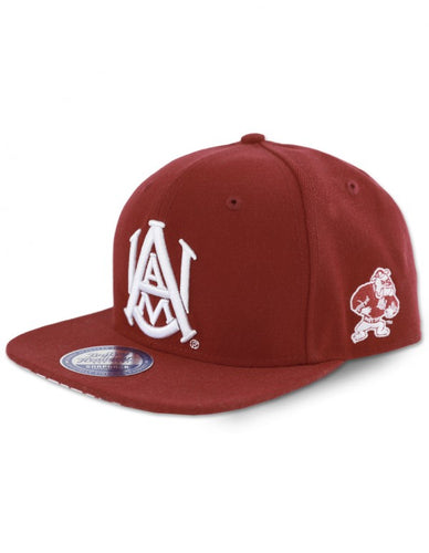 Alabama A&M University: Snapbacks