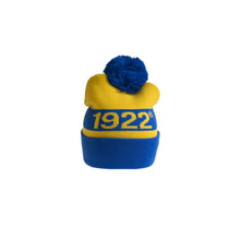 Load image into Gallery viewer, SGR: Knitted Beanies
